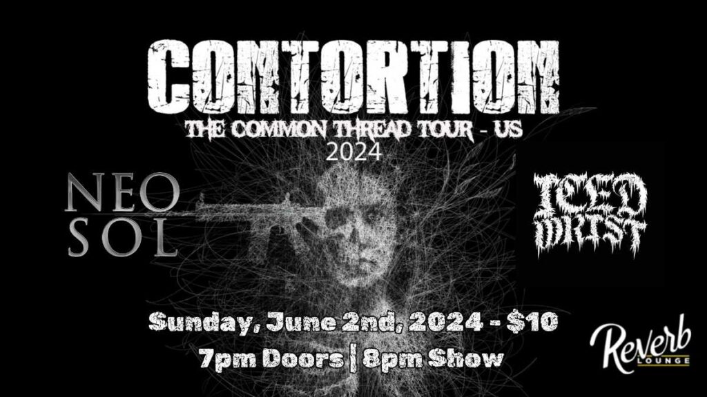 Contortion 3155681713554946